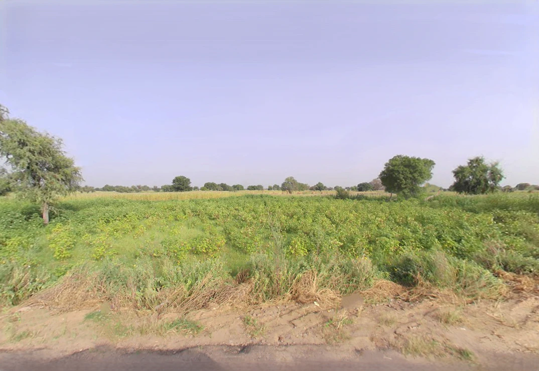 Jant, Haryana, India