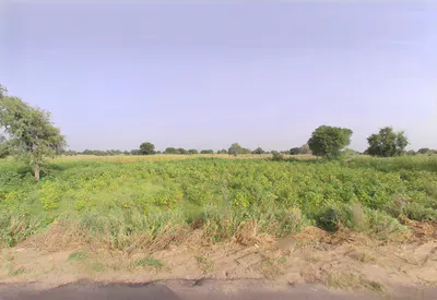 Jant, Haryana, India preview 3