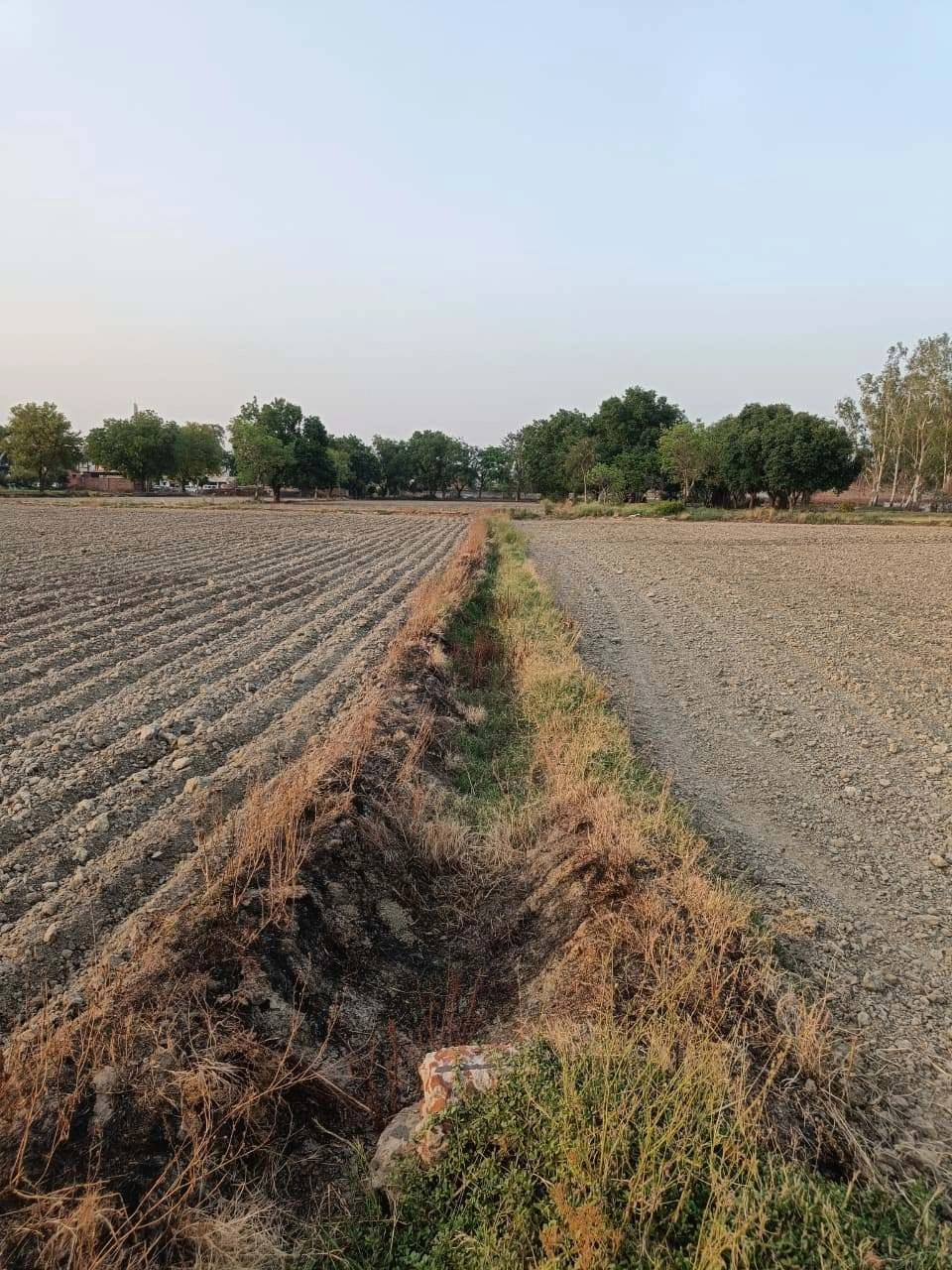 Tentigaon, Uttar Pradesh, India