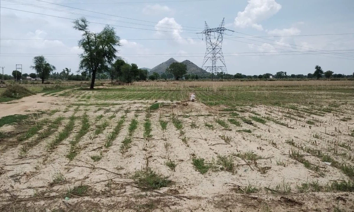 Beejwa, Rajasthan, India