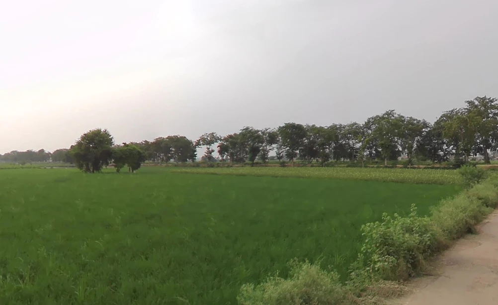 SunderPur, Haryana 126116, India