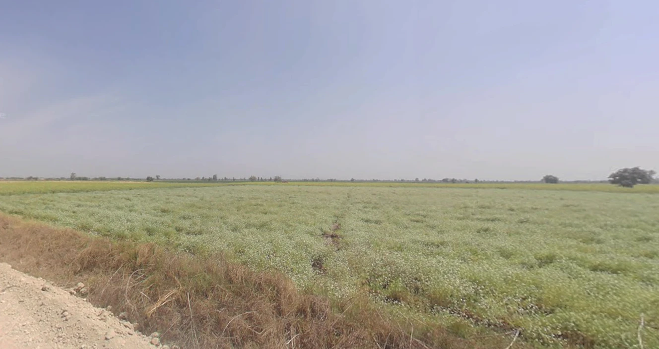 Degave, Maharashtra 416511, India