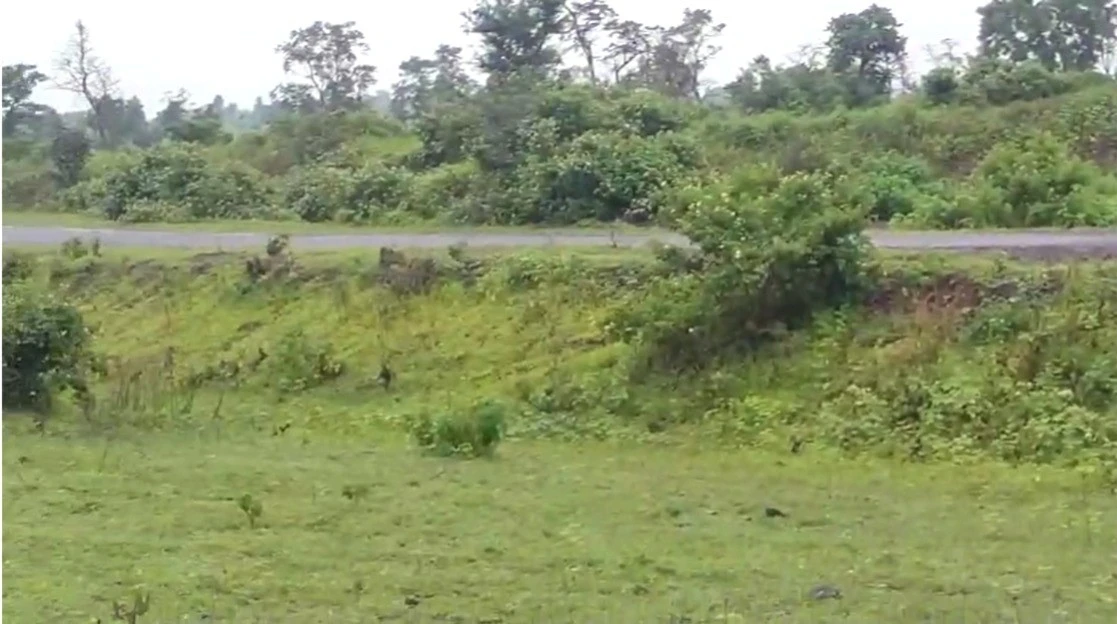 Sakari, Madhya Pradesh, India