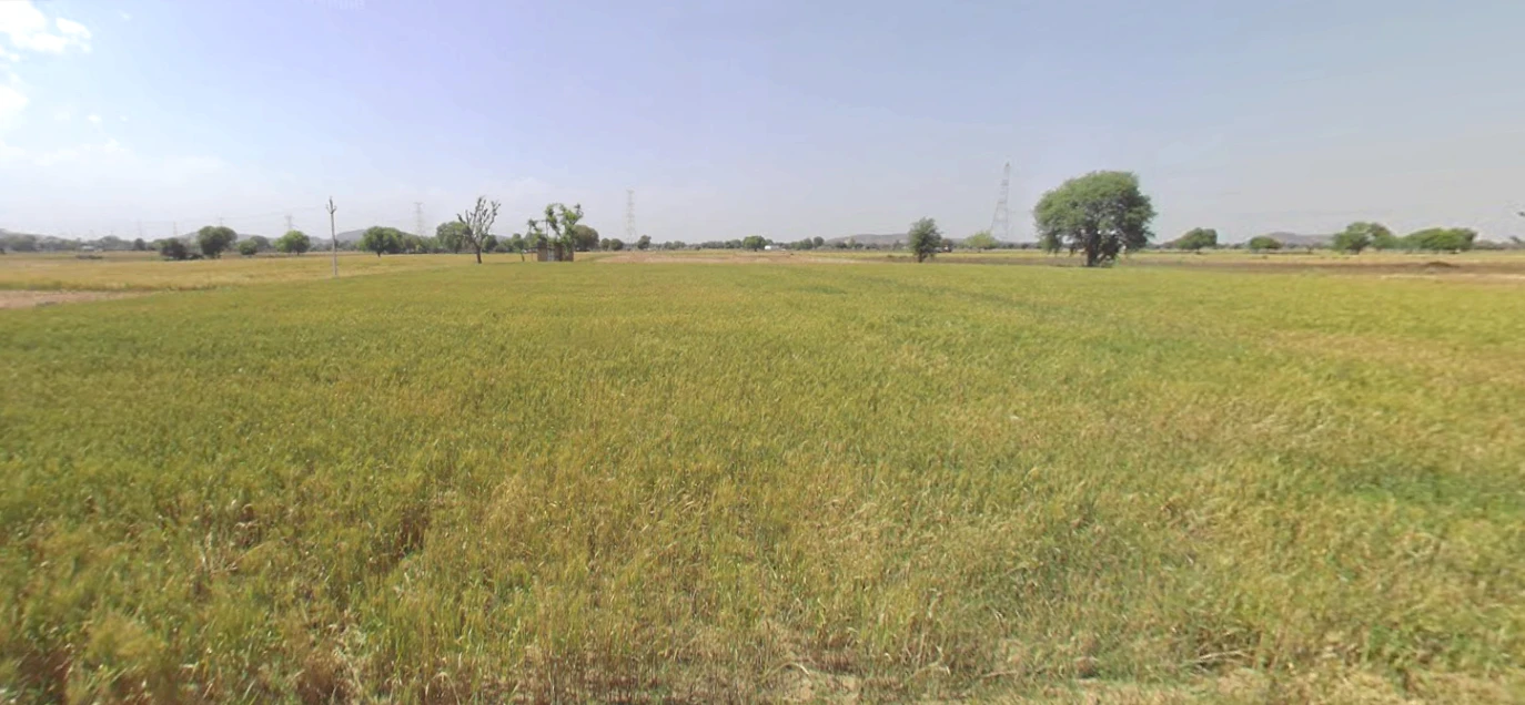 Mei, Rajasthan, India