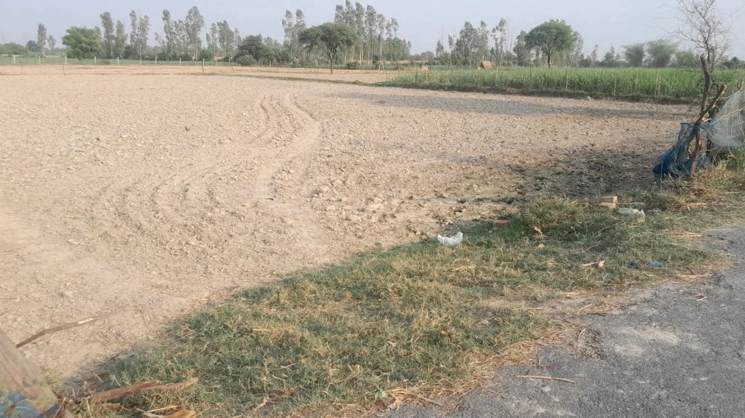 P65J+53 Baisingh, Uttar Pradesh, India
