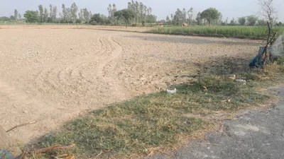 P65J+53 Baisingh, Uttar Pradesh, India preview 3