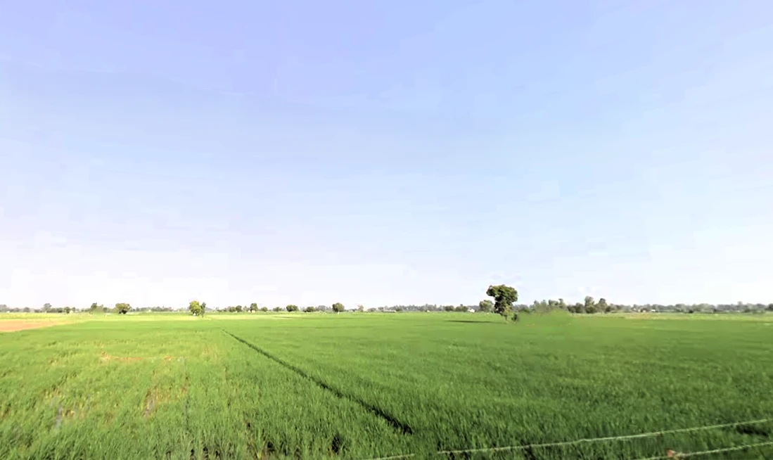 Tosham Rural, Haryana 127040, India