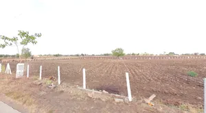 Bhagora, Madhya Pradesh, India preview 2