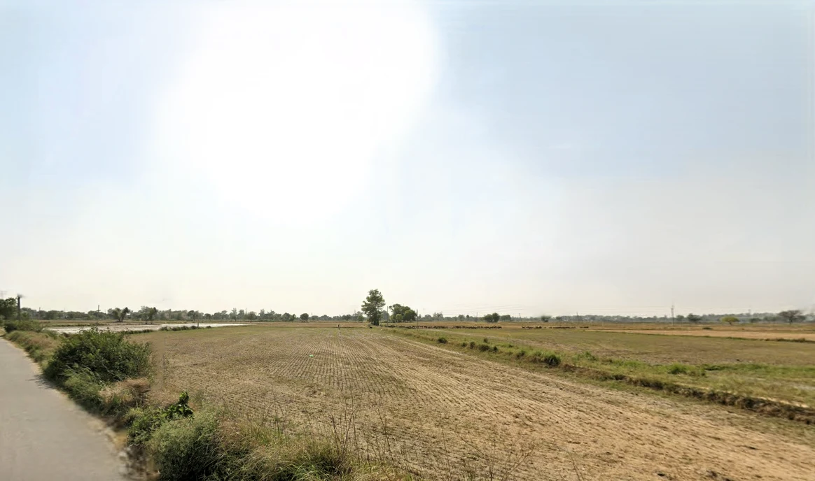 Pirthla, Haryana, India