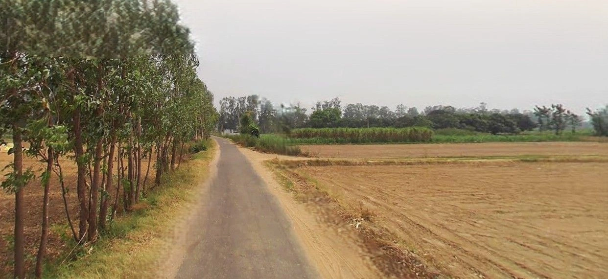 Jalesar, Uttar Pradesh 207302, India