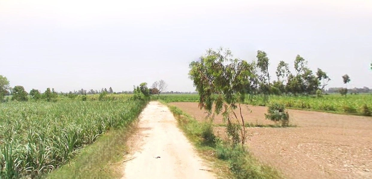 Lalganj, Uttar Pradesh 229206, India