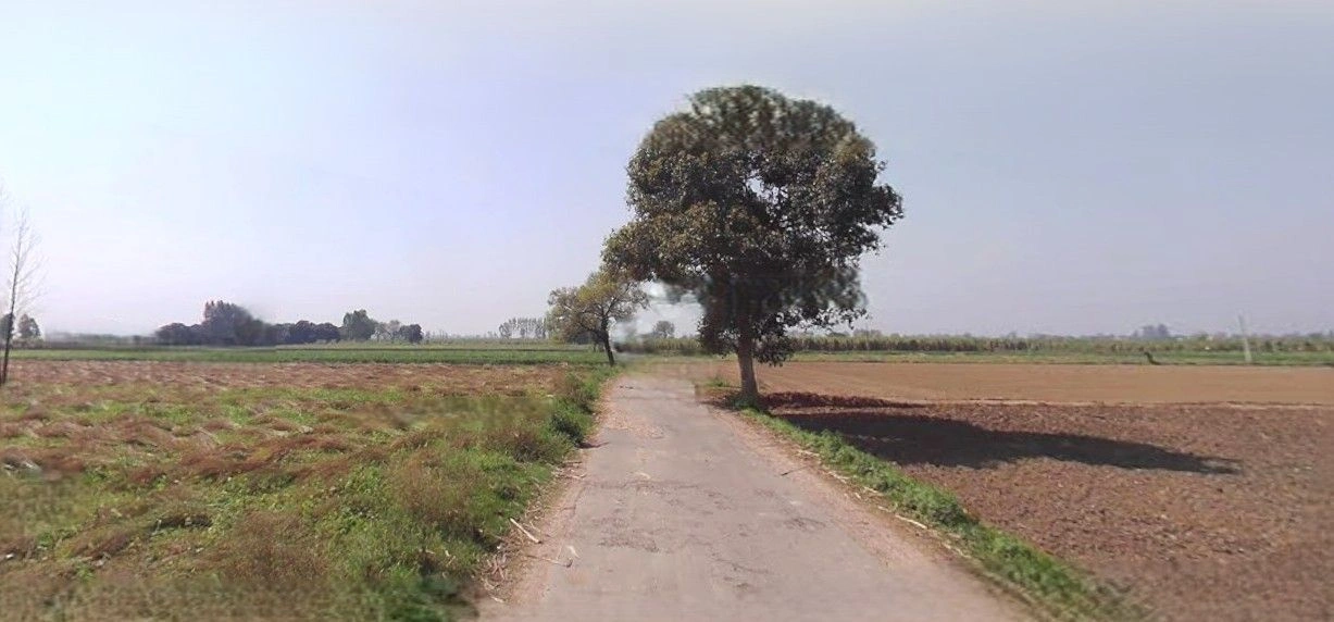 Bara, Uttar Pradesh, India