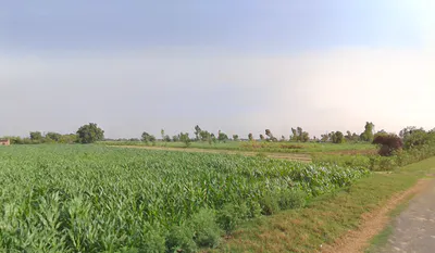 Dataganj, Uttar Pradesh 243635, India preview 3