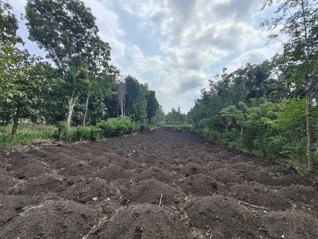 V633+P6R, Kolavally, Padichira, Kerala 673579, India