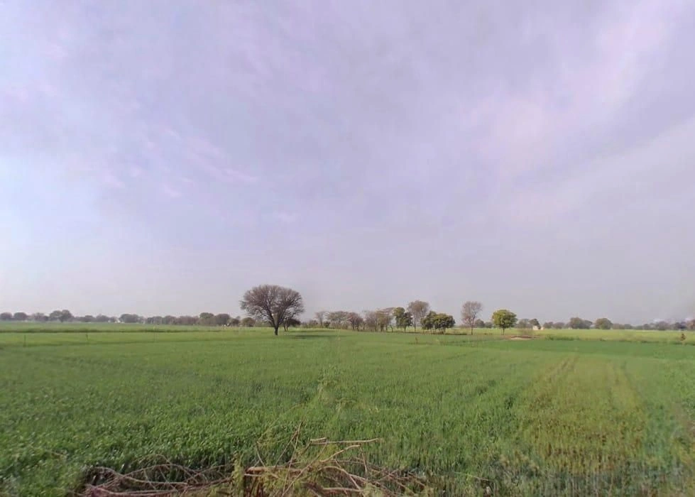 Laxmangarh, Rajasthan 321607, India preview 2