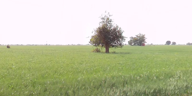 GQQ3+2QR, Mau Khedi, Madhya Pradesh, India preview 3