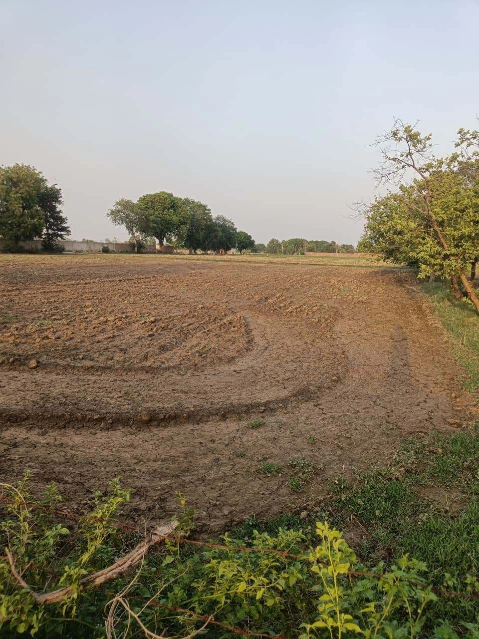 Chandauri, Uttar Pradesh, India