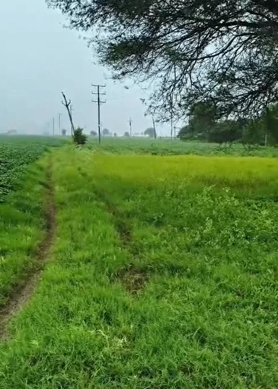 Chandwar, Umaria, Madhya Pradesh, India