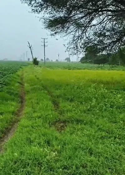 Chandwar, Umaria, Madhya Pradesh, India preview 3