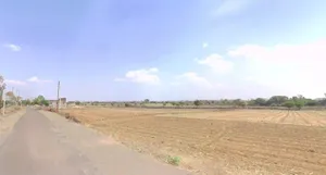 Dhapla, Madhya Pradesh, India preview 2