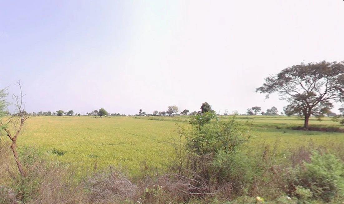 Dindori, Madhya Pradesh 481880, India