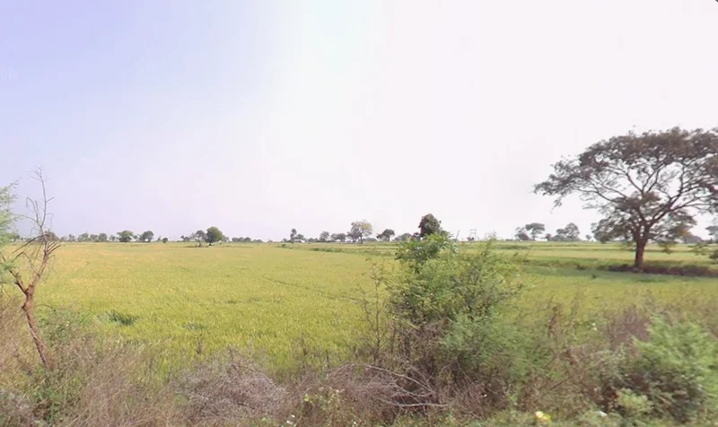 Dindori, Madhya Pradesh 481880, India preview 2