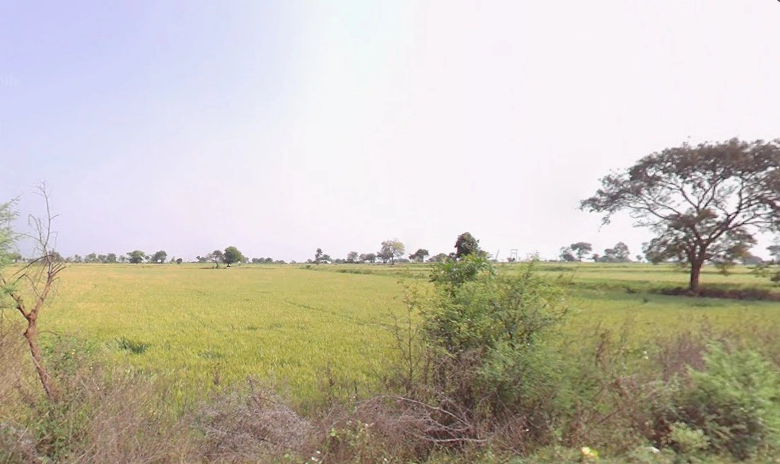 Dindori, Madhya Pradesh 481880, India