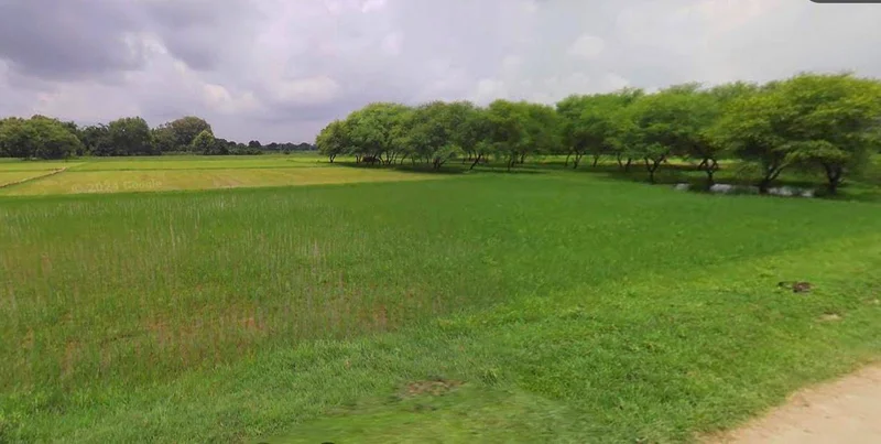 Satna, Madhya Pradesh, India preview 3