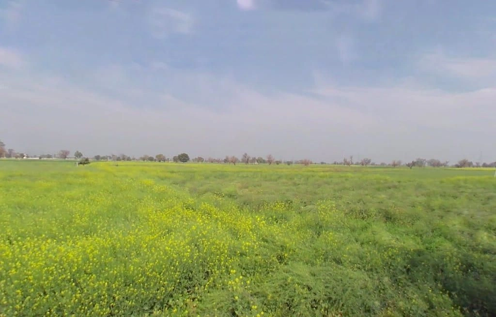Jawli, Rajasthan 321607, India