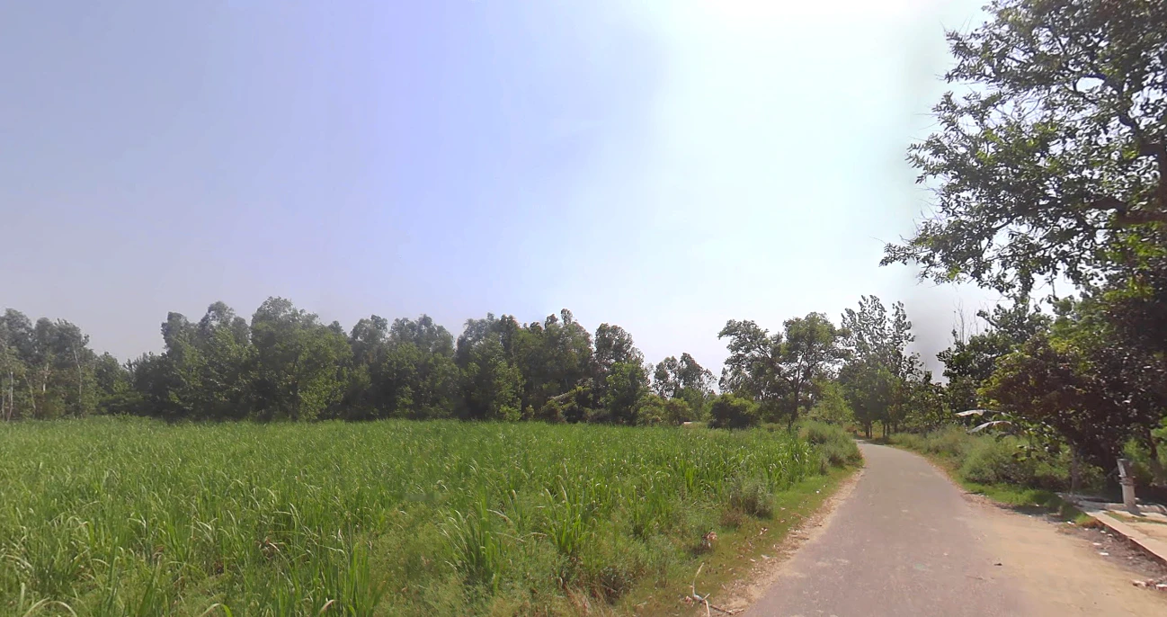 Hasanpur, Uttar Pradesh 244241, India