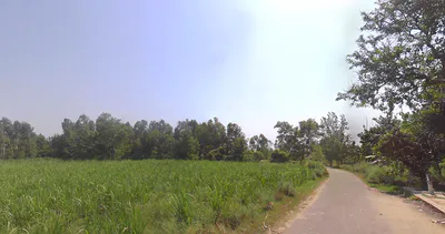Hasanpur, Uttar Pradesh 244241, India preview 2