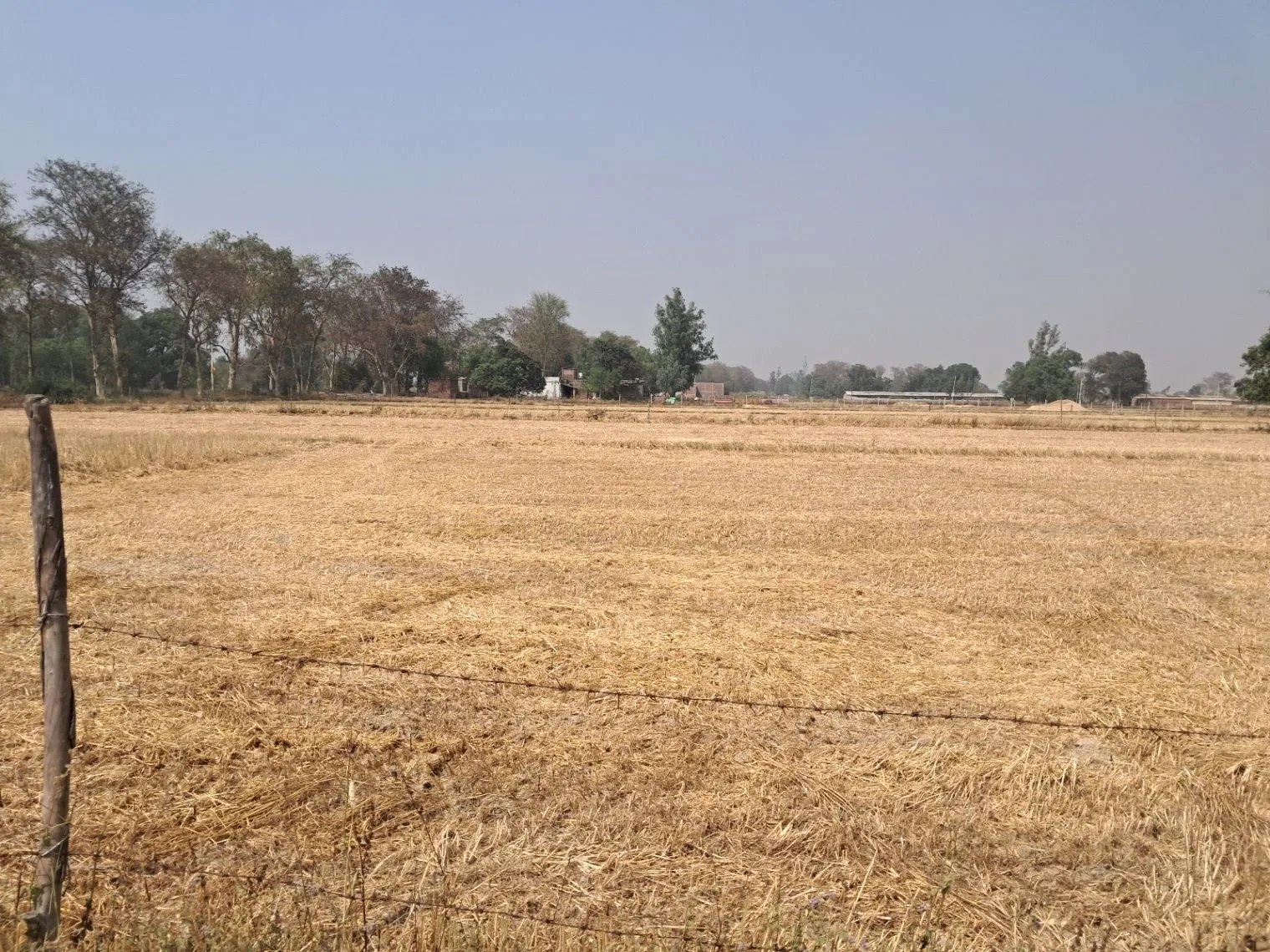 Q7GG+JH Adam Pur Bhatpurwa, Uttar Pradesh, India