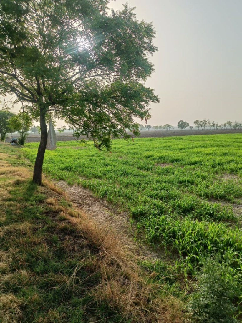 Tentigaon, Uttar Pradesh, India