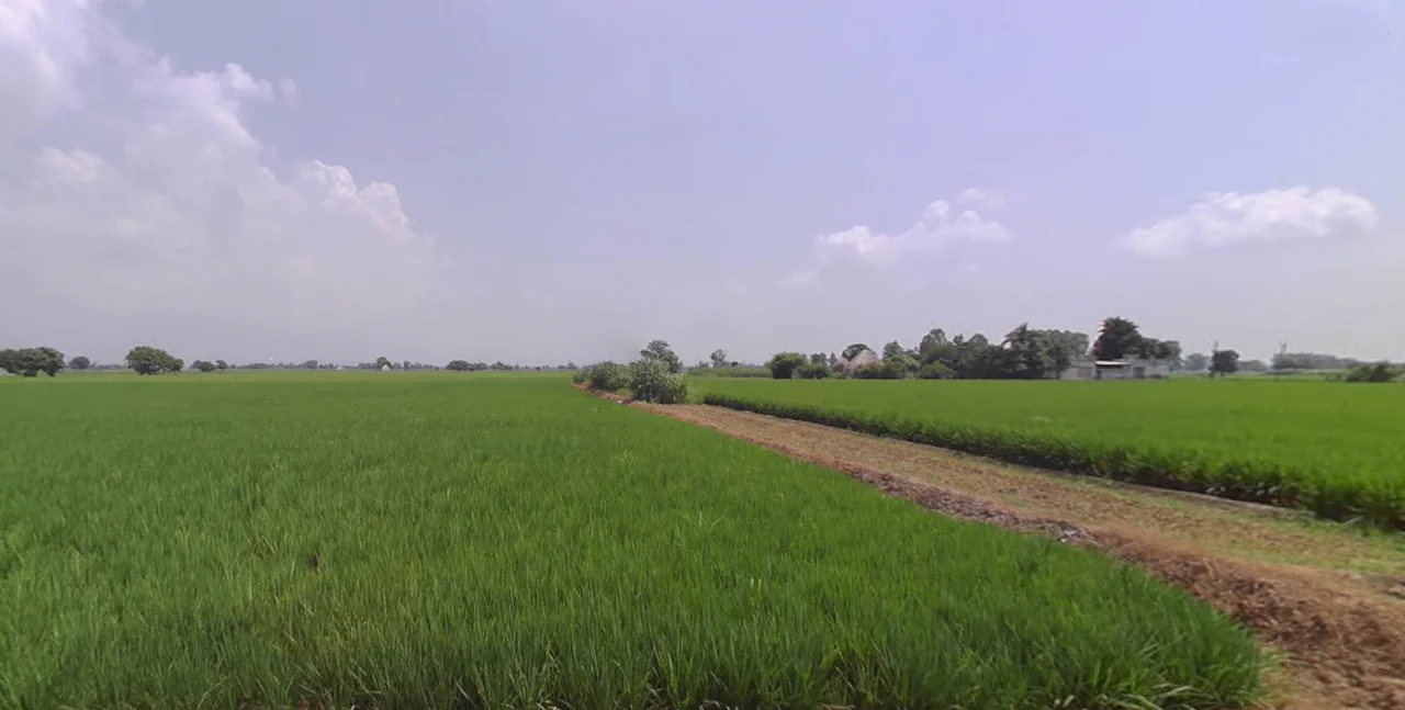 New Chandigarh, Punjab 140901, India preview 2