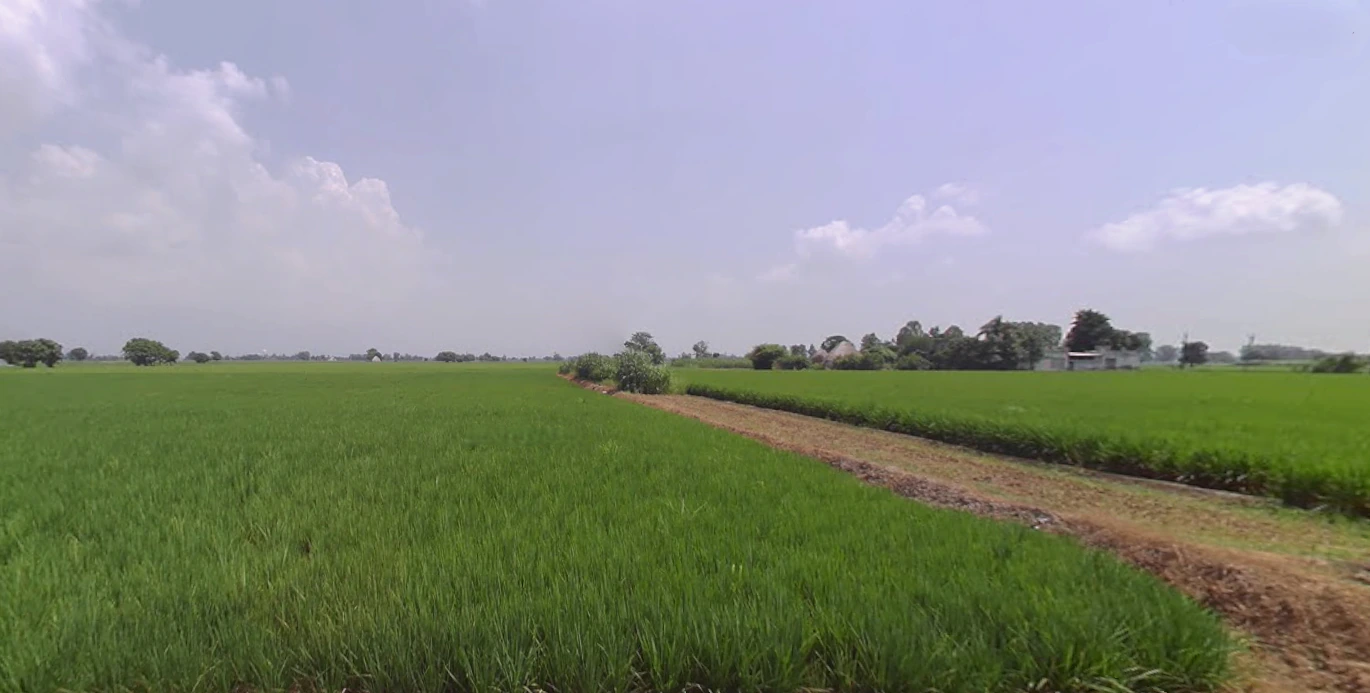 New Chandigarh, Punjab 140901, India