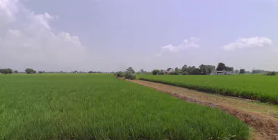 New Chandigarh, Punjab 140901, India preview 2