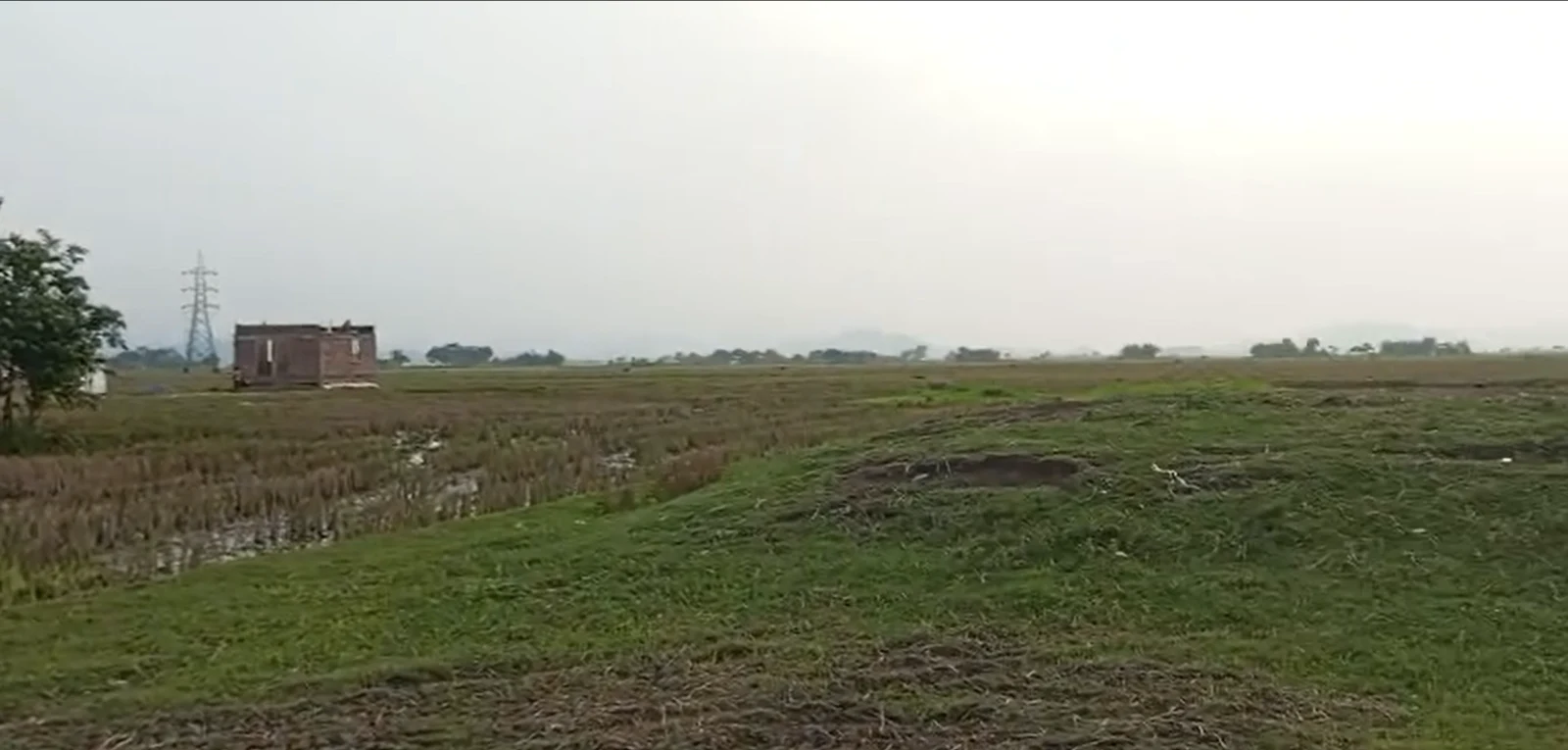 2QP7+WRX, Alampur, Madhya Pradesh 475673, India