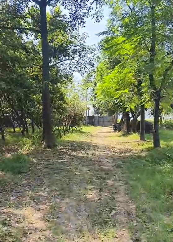 Kishanpur, Bijnor, Uttar Pradesh, India - Photo 5