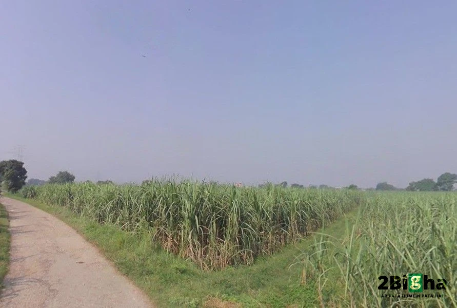 Pithlokar, Uttar Pradesh 250342, India