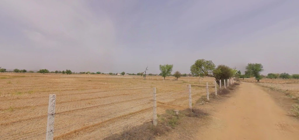 Meloj, Gujarat 384151, India