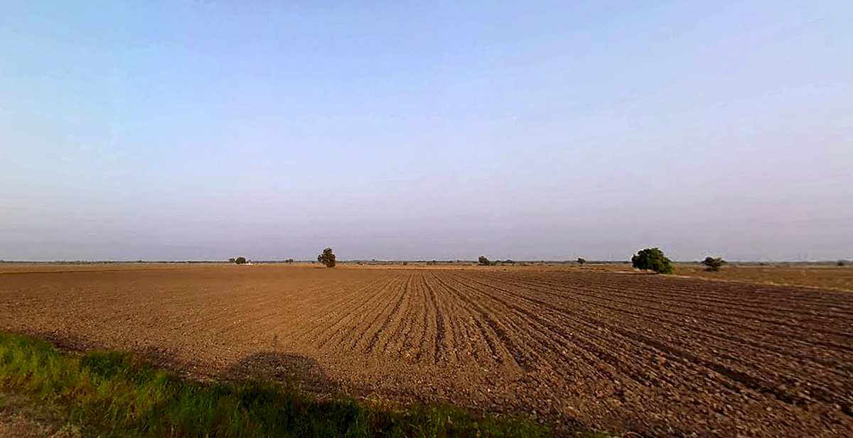 Godhavadar, Gujarat 365535, India