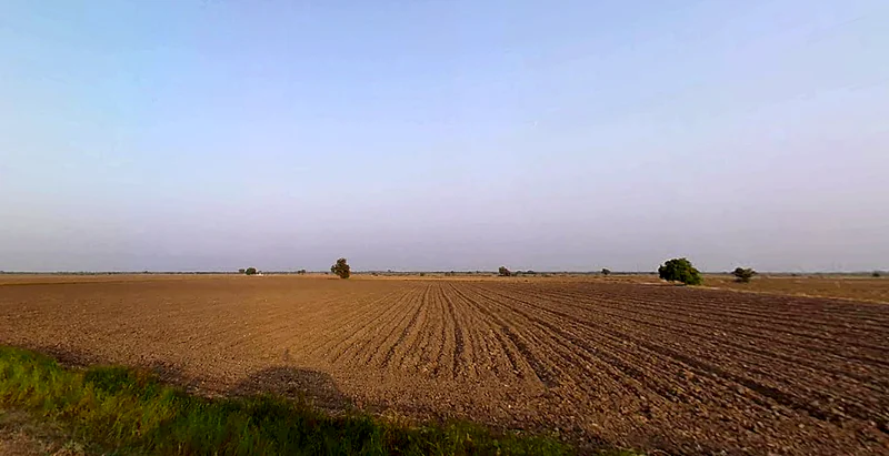 Godhavadar, Gujarat 365535, India preview 3