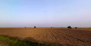 Godhavadar, Gujarat 365535, India preview 3