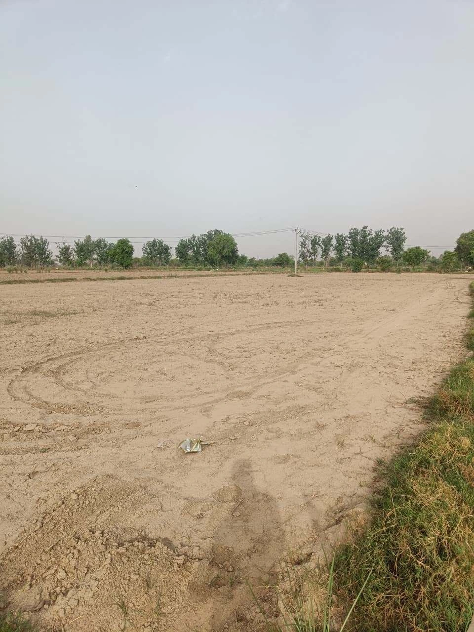Aou, Rajasthan, India