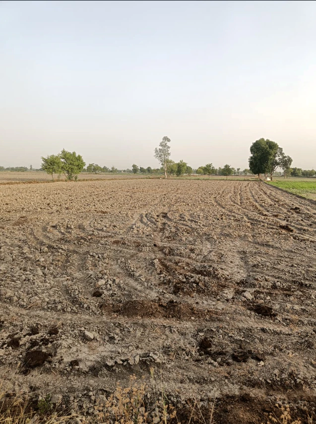 Sadhaura, Haryana 133204, India
