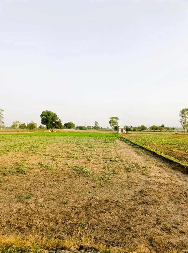 R6G9+RPG, Aligarh, Rohina Singhapur, Uttar Pradesh 202121, India