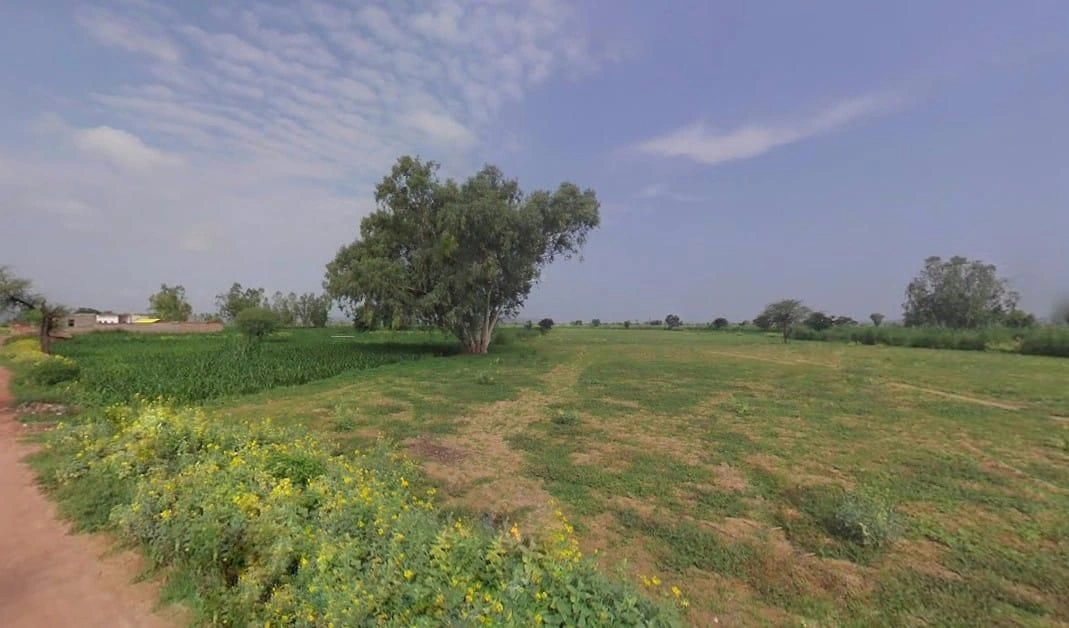 9763+VXX, Dantla, Rajasthan 332601, India