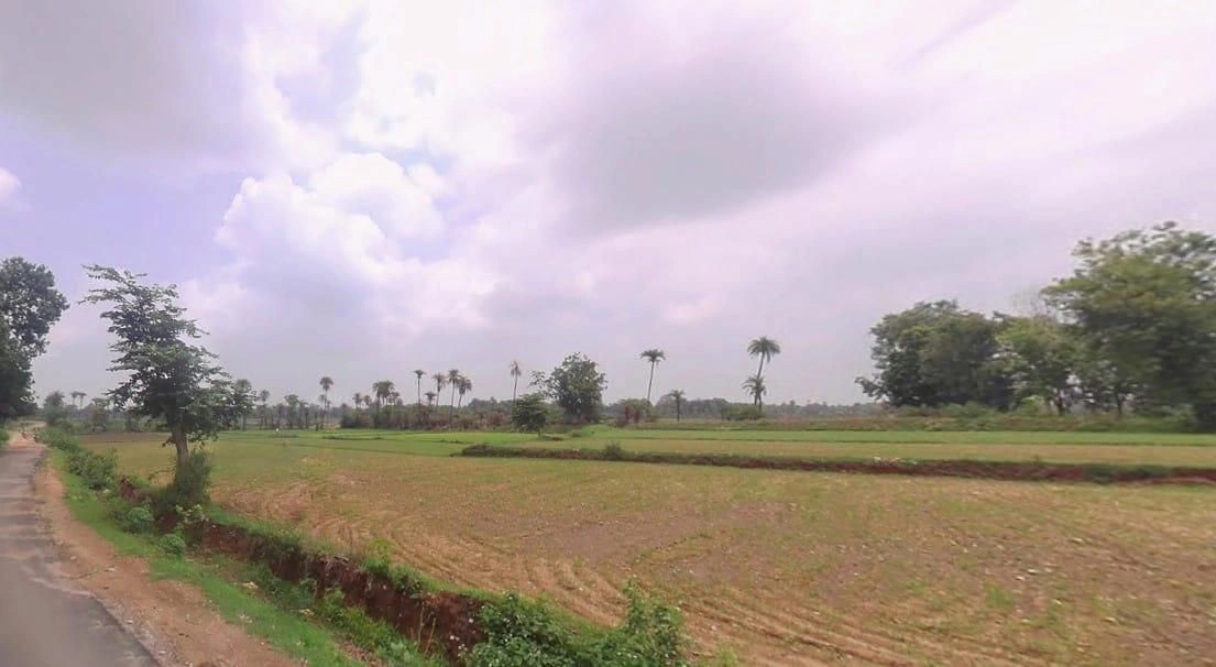 J5FR+QCG, Varwariya, Rajasthan 321022, India