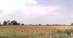 Imaliya, Madhya Pradesh 475661, India preview 2