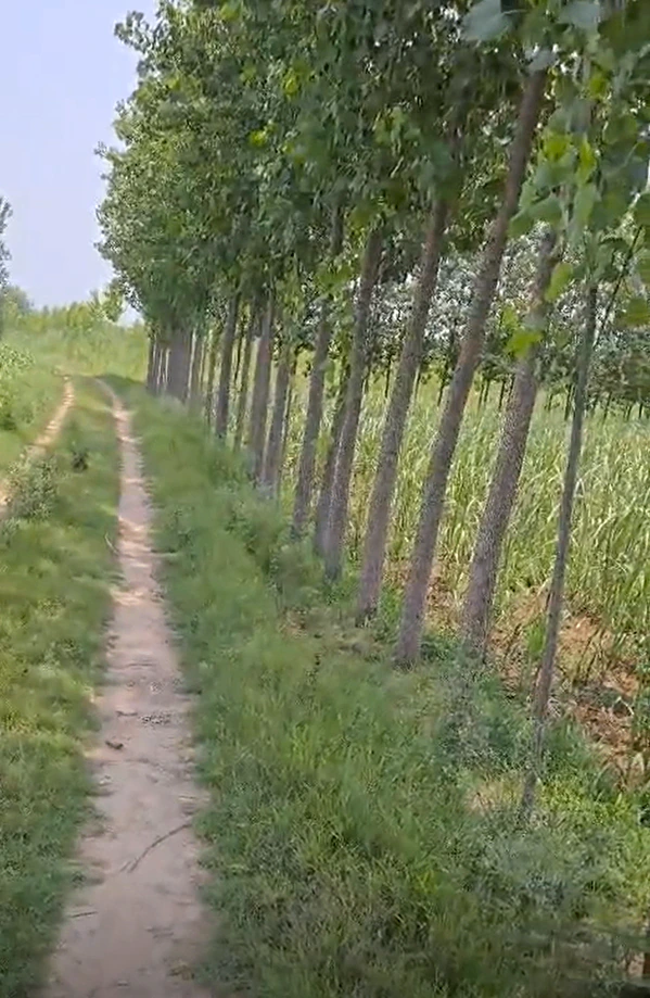 Muradnagar, Ghaziabad, Uttar Pradesh 201206, India